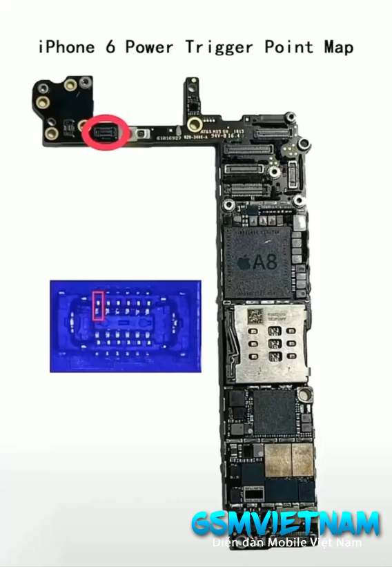 IPHONE 6.png