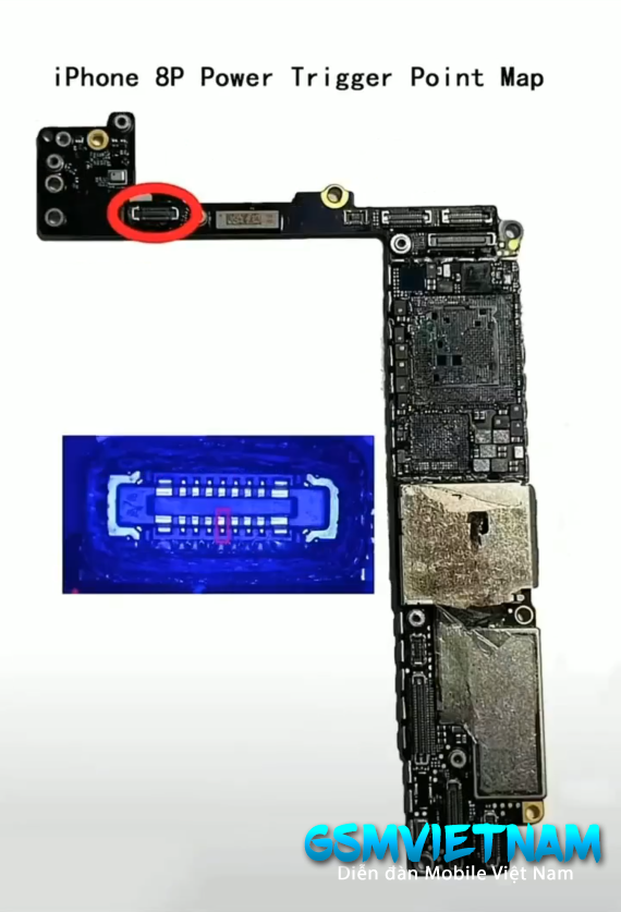 IPHONE 8 PLUS.png