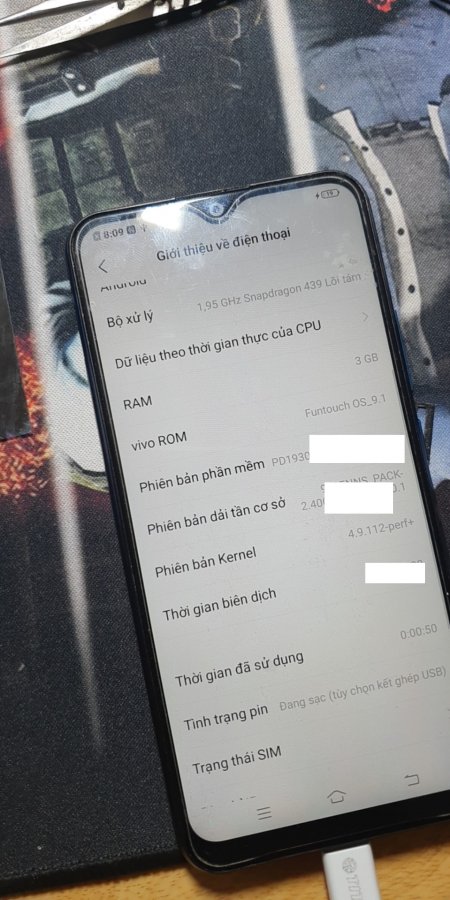 y11 3.jpg