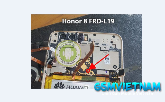 z4565972706984_8f9785a053e3369595929222ba8227ae.jpg